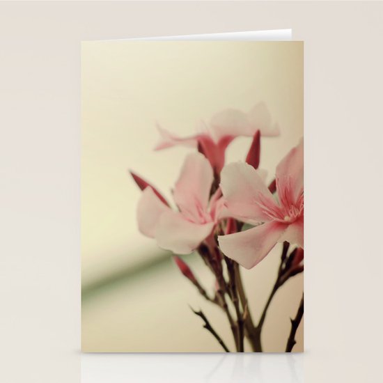 Pink Stationery Cards