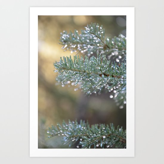 Passing Rain Art Print