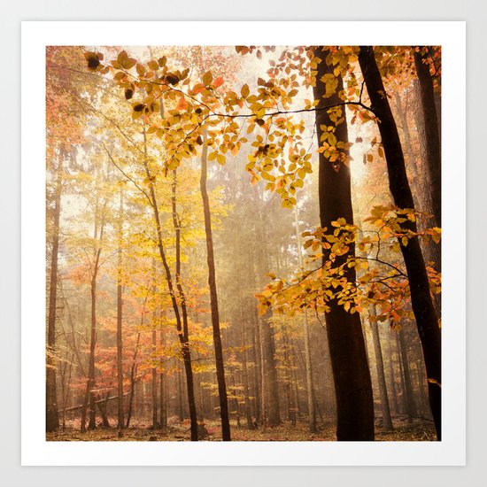 through the woods square Art Print