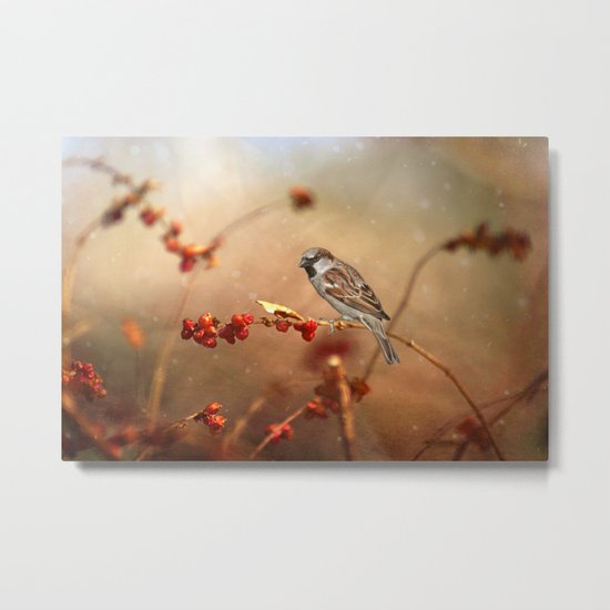 The Sparrow Metal Print