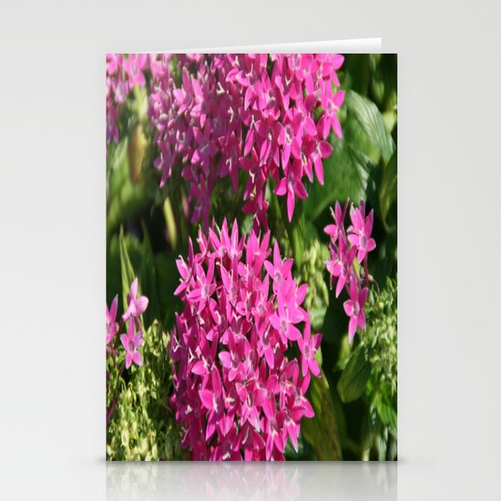 pink stars Stationery Cards