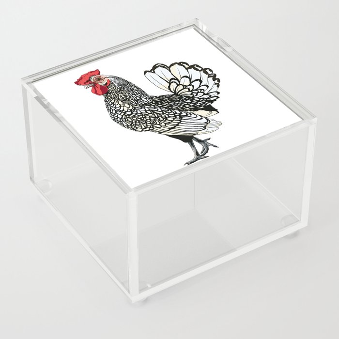 Chicken 3 in Color (2022) Acrylic Box