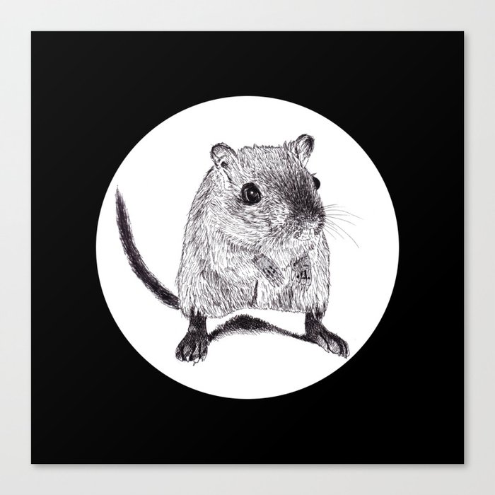 Mouse Ink Drawings Canvas Print