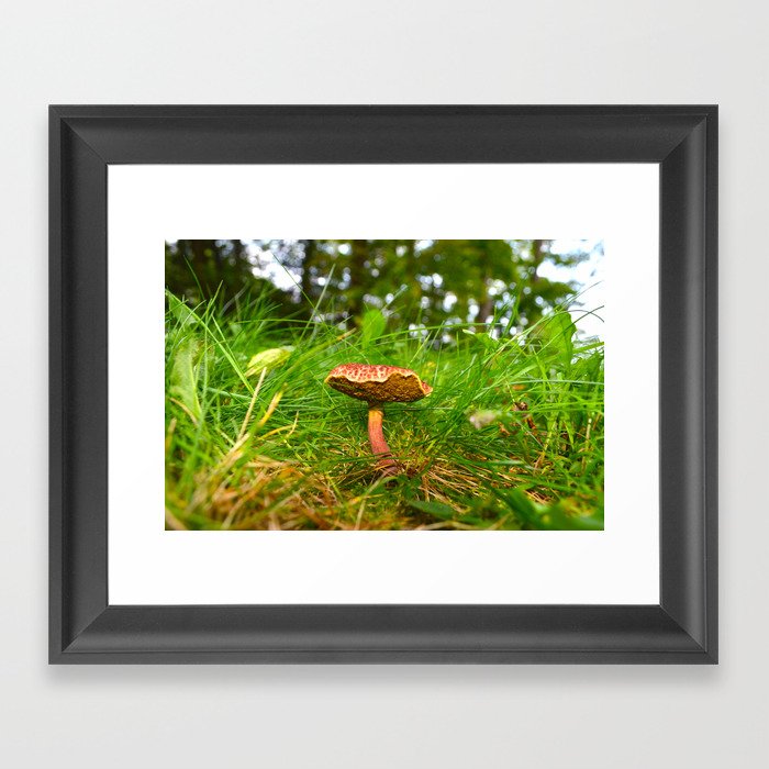 mushroom Framed Art Print