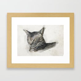 Portrait of a cat Framed Art Print