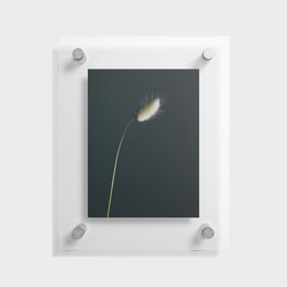 Subtle Flower Floating Acrylic Print