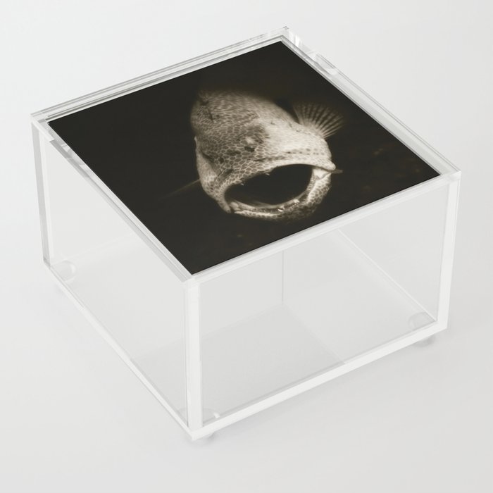 Gulp Acrylic Box
