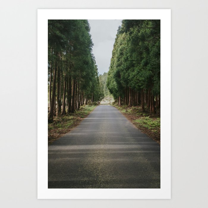 Into the Woods Art Print