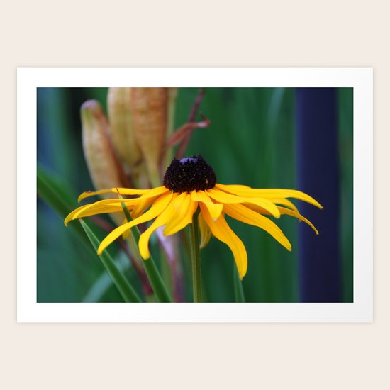 Flower Art Print