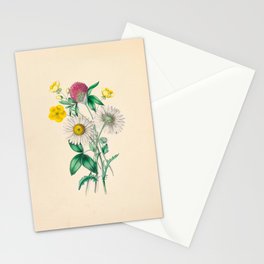 Wildflowers by Clarissa Munger Badger, 1859 (benefitting The Nature Conservancy) Stationery Card