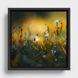 The Valley of Giants Framed Canvas