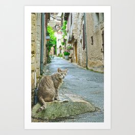 Cat on the street of a medieval french village | Saint-Cirq-Lapopie Art Print