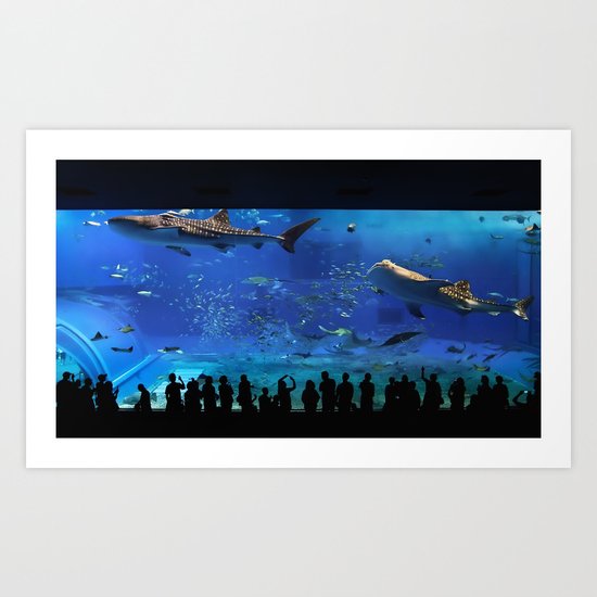 Chaurami Aquarium Whale Shark Tank Art Print