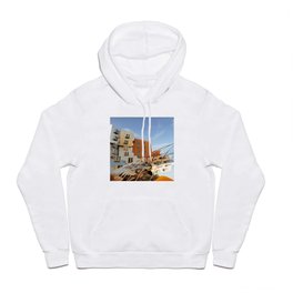 The Ray and Maria Stata Center Hoody