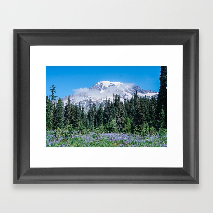 Mount Rainier in Bloom Framed Art Print