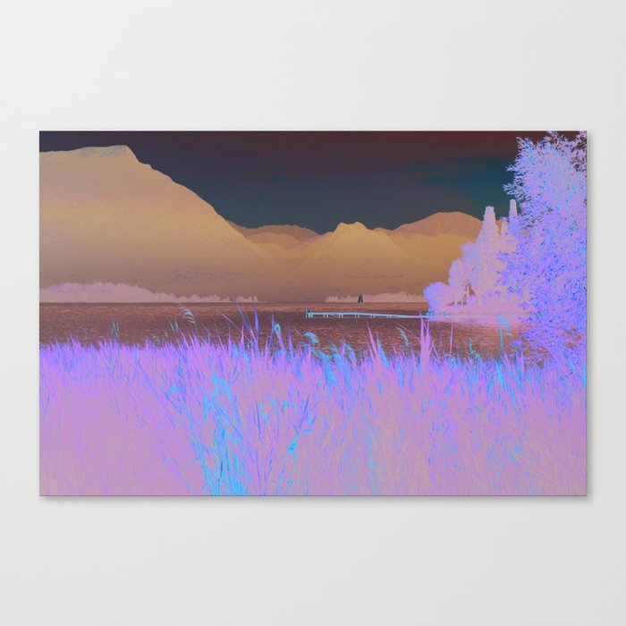 Water Reeds Canvas Print