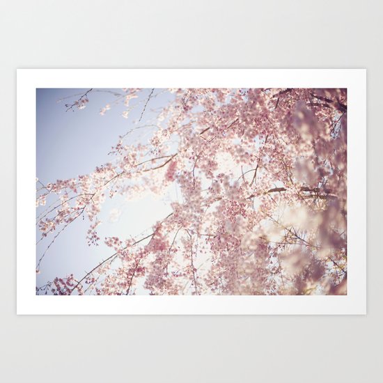 spring blossoms Art Print