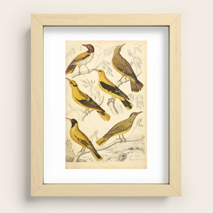 Recessed Framed Print