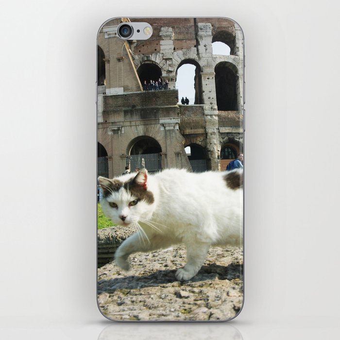 The Cat of the Colosseum iPhone Skin