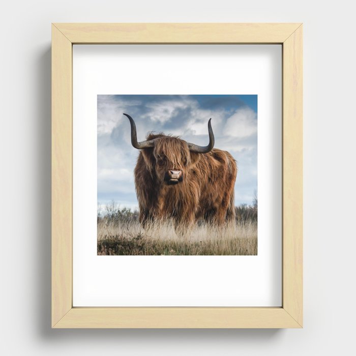 Scottish Highland Cow | Scottish Cattle | Cute Cow | Cute Cattle 06 Recessed Framed Print
