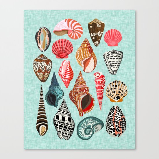 Seashells ocean nautical beach seaside children kids baby home dec shell illustration Andrea Lauren Canvas Print