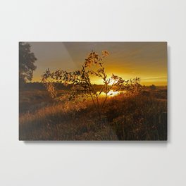 Burning Bush Metal Print | Lake, Sunrise, Hillcountry, Sunset, Landscape, Photo, Country, Goldenhour, Columbustexas, Easttexas 