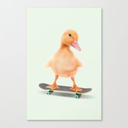 Skateboarding Duck Canvas Print
