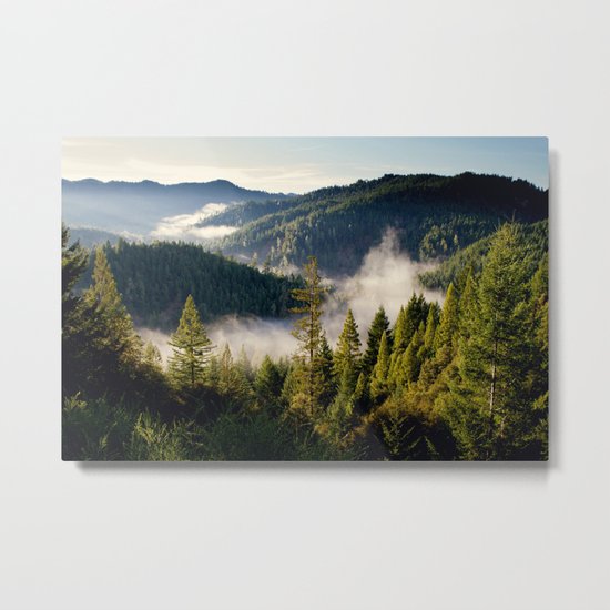 Adventures Metal Print