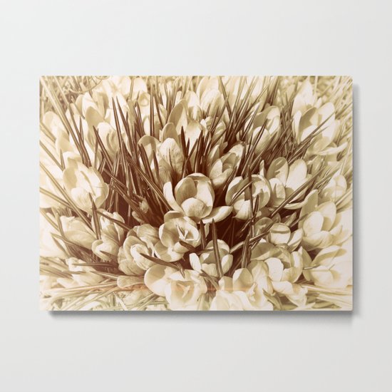 Once upon a summertime II Metal Print