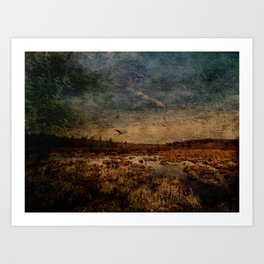 Heron in the Marshes Art Print
