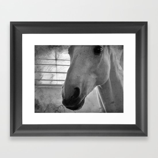 Horse Framed Art Print