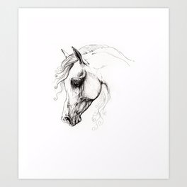 arabian horse head Art Print