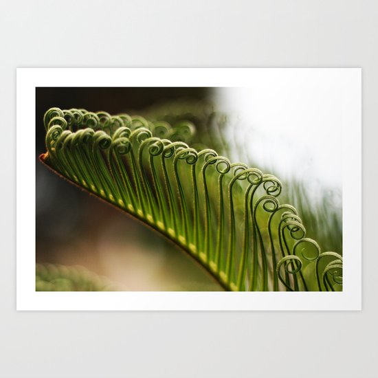 Curly Art Print