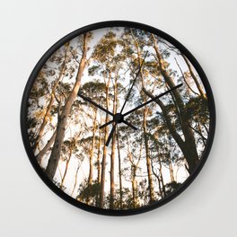 Bruny Island Forest Wall Clock | Photo, Tasmania, Landscape, Trees, Bruny Island, Nature, Forest, Wanderlust, Sunset 