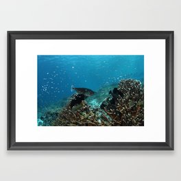 Unicorn Fish and friends Framed Art Print | Animal, Underwater, Photo, Unicornfish, Nature, Color, Digital, Fish, Hi Speed, Wide Angle 