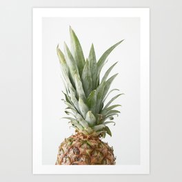 Pineapple Photography Print Art Print