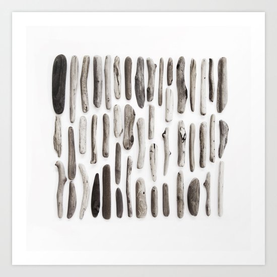 DRIFTWOOD COLLECTION Art Print