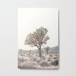 Joshua Light Metal Print | Modernboho, Photo, Bohemian, Desertboho, Tribal, Desertdecor, Joshuatree, Boho, Bohodecor, Desertlight 