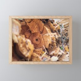 Heartwood After the Fall Framed Mini Art Print
