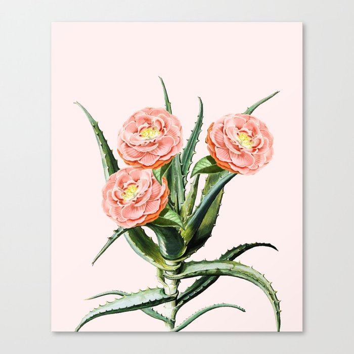 Blush Cactus society6 decor buyart Canvas Print by 83 Oranges