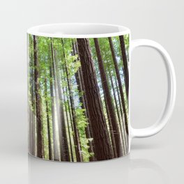 Sequoias in Cabezon de la Sal, Spain. Coffee Mug