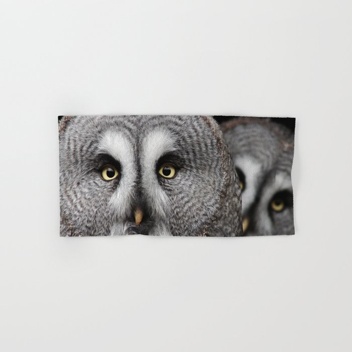 Great Grey Owls  Hand & Bath Towel