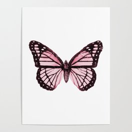 Monarch Butterfly Pink Dream Poster