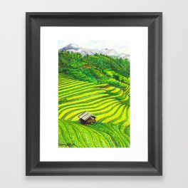 Vietnam Rice Fields Illustration Framed Art Print