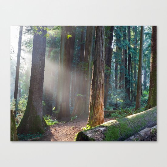 Keepers Of The Light Canvas Print