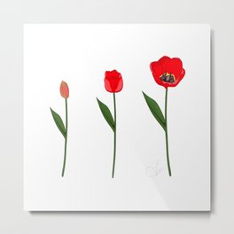 A Tulip's Life by Creations Artext Metal Print