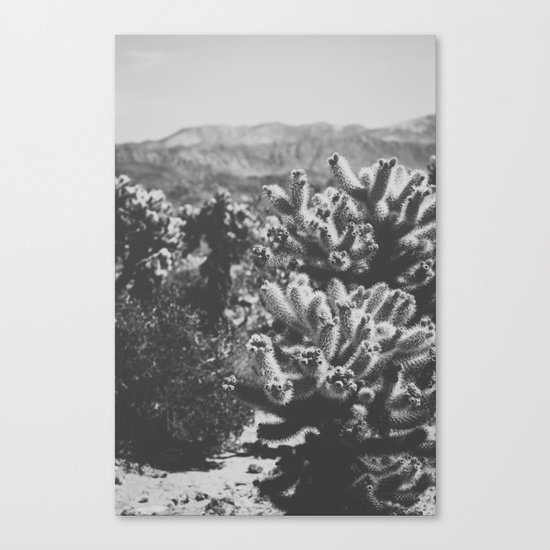 Chollo Cactus Garden (Black + White) Canvas Print