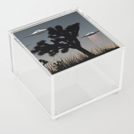 Joshua Tree Spaceship KLOVE Acrylic Box
