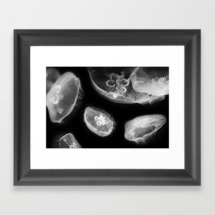 Jellyfish Photography | Wildlife Art | Black and White Photography Framed Art Print