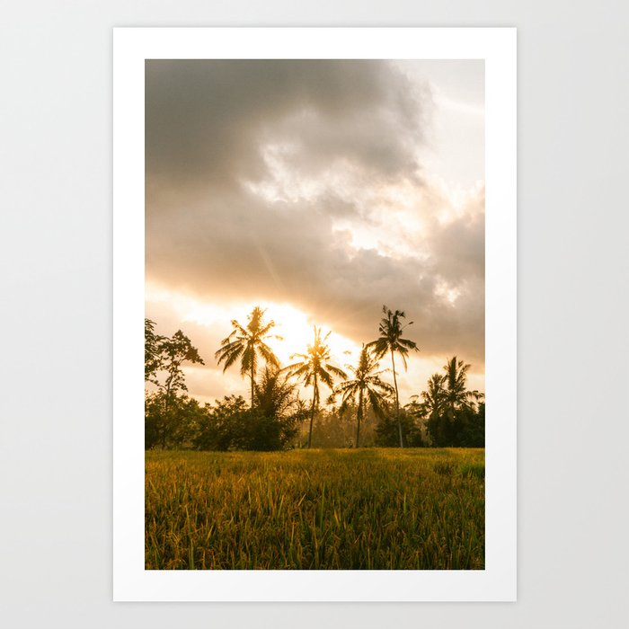 Bali: Sunset & Palm Trees || Indonesia, Travel Photography, Art Print Art Print
